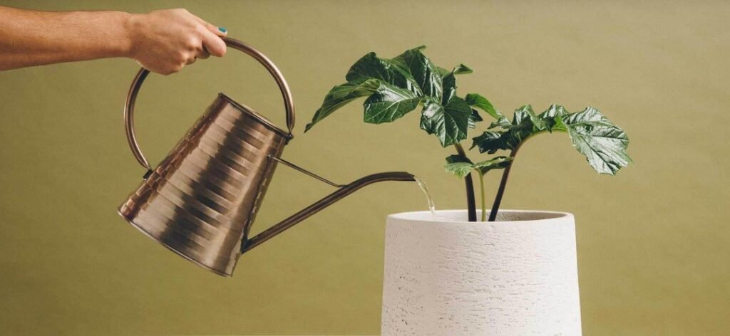 Nutrição de leads: conheça os benefícios!